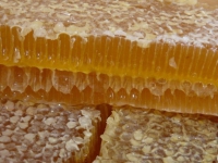 Как приобрести натуральный мед